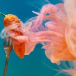 Революционный протест в мире слот-игр Chilli Heat против системы